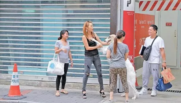 Famaosinmalaysia - 盤點3位TVB小隱形富婆,10億富家女,愛犬身價就10萬!