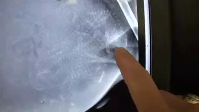 狗媽媽一次次衝進大雨中把寶寶叼回來,最後更不忘這麼做,濃濃母愛讓網友都感動哭!