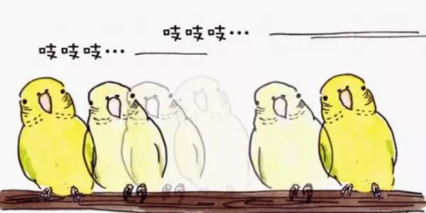 你知道嗎?鸚鵡的「這些動作」,都透露出牠心情的好壞哦!