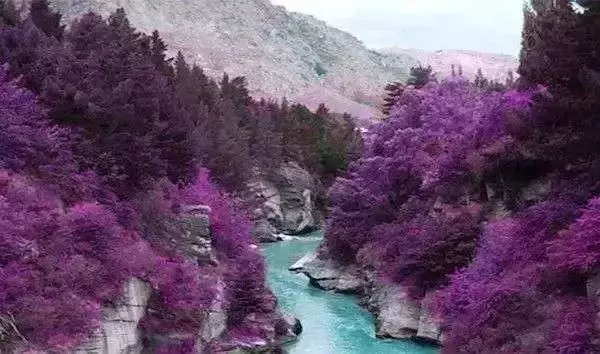 曾經瘋傳的20張假圖片,你是不是也被騙過呢?