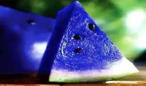 曾經瘋傳的20張假圖片,你是不是也被騙過呢?