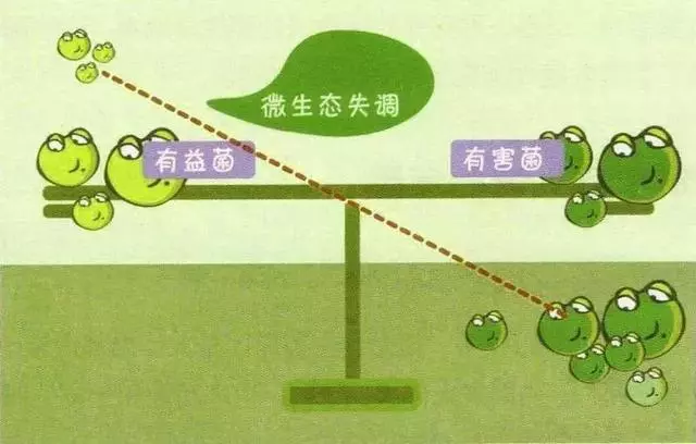 益生菌飲品是否益生爭議來了
