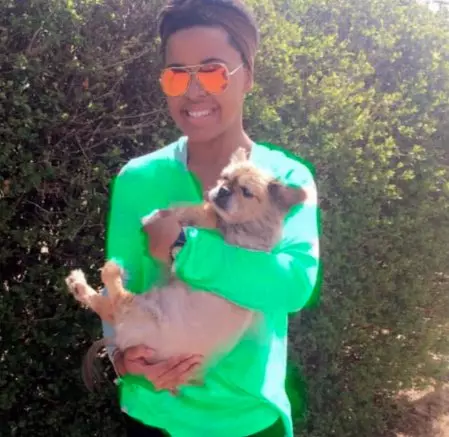 和19年愛犬「最後道別」!主人忍不住潰堤「汪汪溫柔幫擦淚」...一切都會沒事的QQ