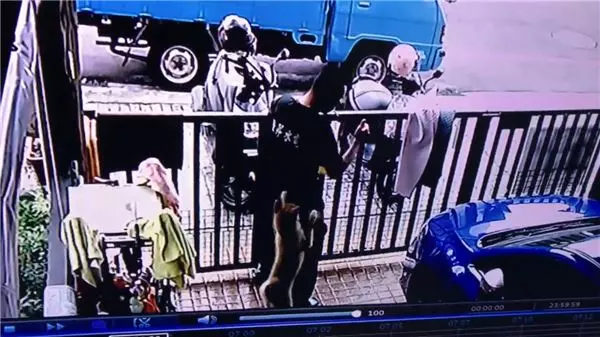 背後遭撞擊!他兇狠回頭想算帳卻發現愛犬討抱抱 秒抱起拍背:乖喔