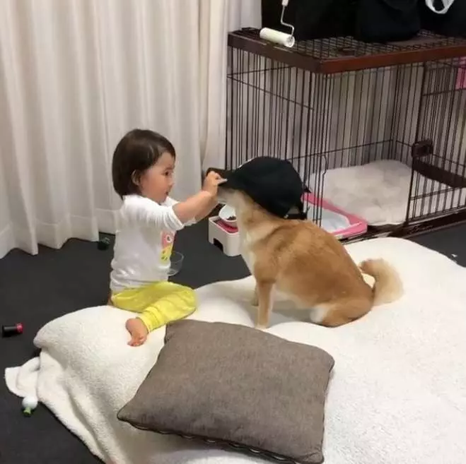 背後遭撞擊!他兇狠回頭想算帳卻發現愛犬討抱抱 秒抱起拍背:乖喔