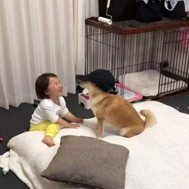 背後遭撞擊!他兇狠回頭想算帳卻發現愛犬討抱抱 秒抱起拍背:乖喔