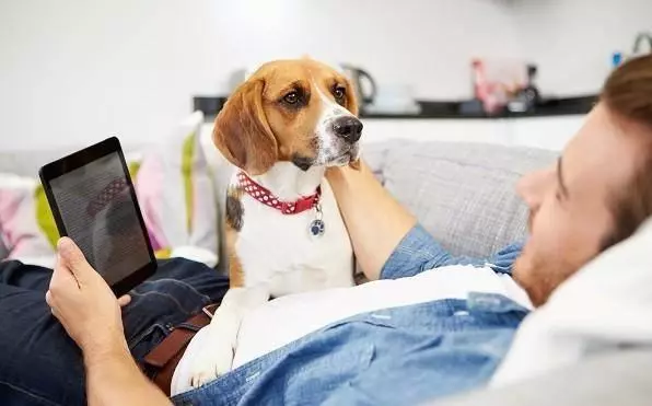 讀懂了狗狗的這10個小動作,就能讓你和愛犬的親密度成倍增長