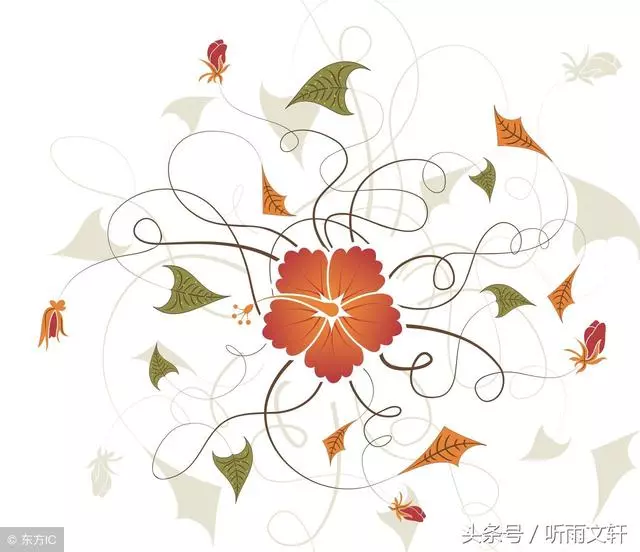 「復婚不到一周,你拿我的錢給小姑子陪嫁?」「咱都是一家人」