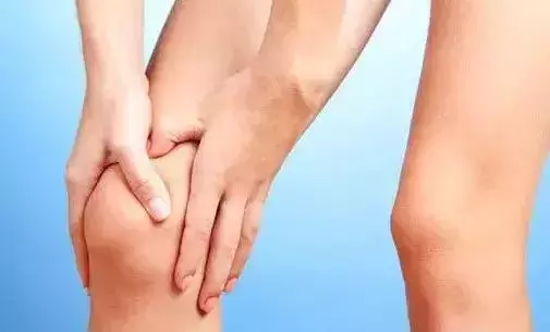 生薑燉雞 活血脈、強筋骨