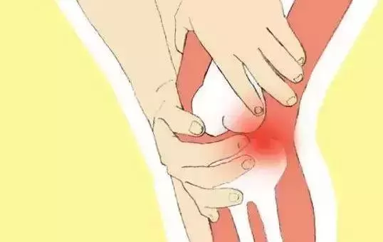 生薑燉雞 活血脈、強筋骨