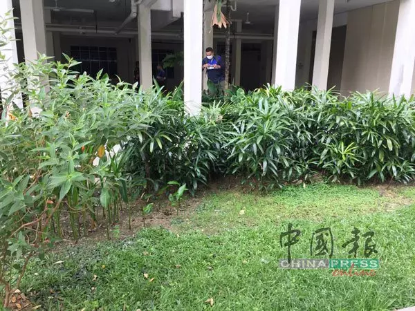 15歲華裔少女在中三評估考試(PT3)首天赴考之前,留下4封遺書,當場斃命