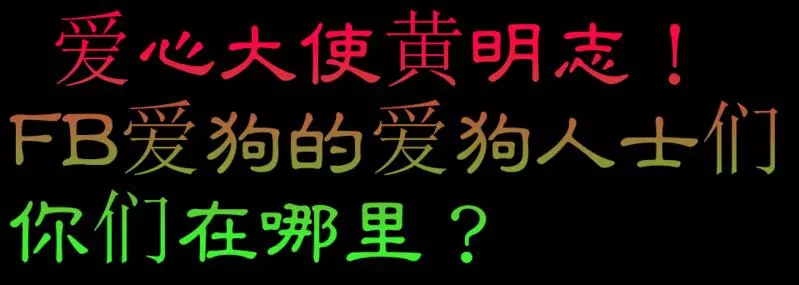 砂州美里813流浪狗遭人道毀滅 愛心大使黃明志!FB愛狗的愛狗人士們,你在哪裡?