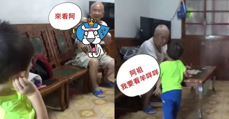 四代的代溝!小曾孫奶音找阿祖看羊咩咩...下秒阿祖一掀衣看傻!網笑到噴淚:太大方(片)