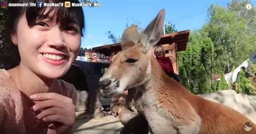 日本超危險動物園!入園得簽生死狀