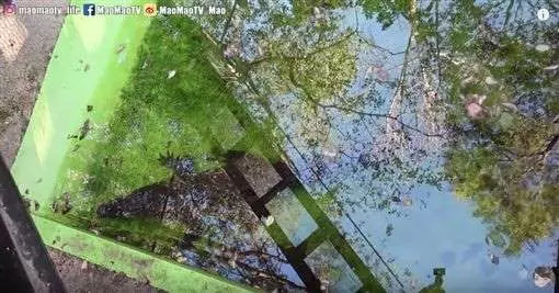 日本超危險動物園!入園得簽生死狀