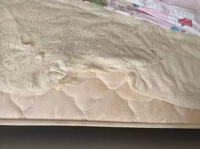 主人操刀追殺撕家後的金毛,那貨委屈的快哭了……