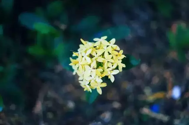 星雲大師:遇到這四種人,請拿命珍惜!