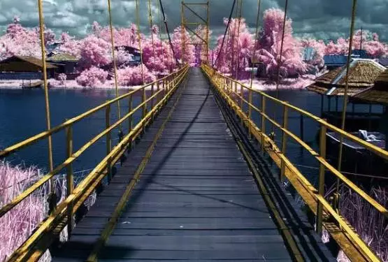 心理測試:你最想走哪條路,看情感中潛在的危機是什麼?