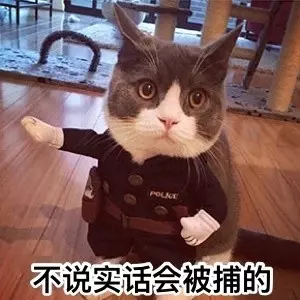 央視女記者在英國怒斥「漢奸」,來扒一扒他們的嘴臉