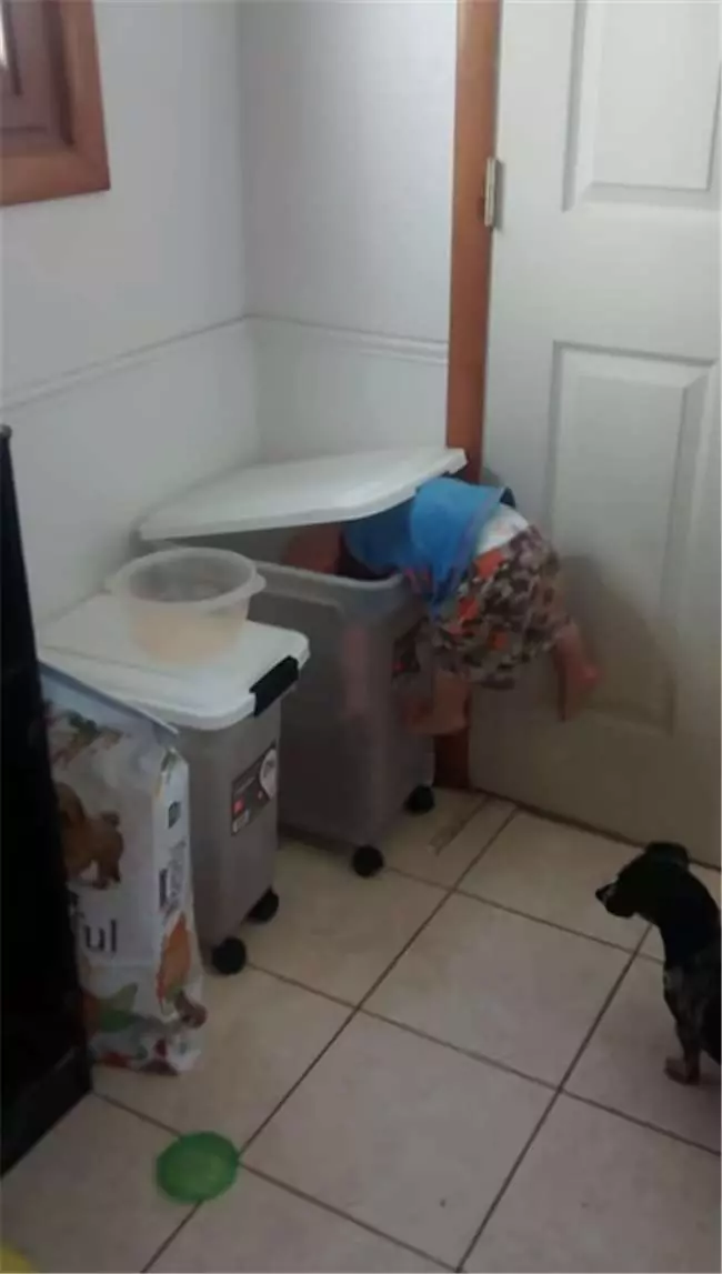 覺得好玩伸手連拍3次白馬 小孩被踹飛倒地直撞機車 網:活該