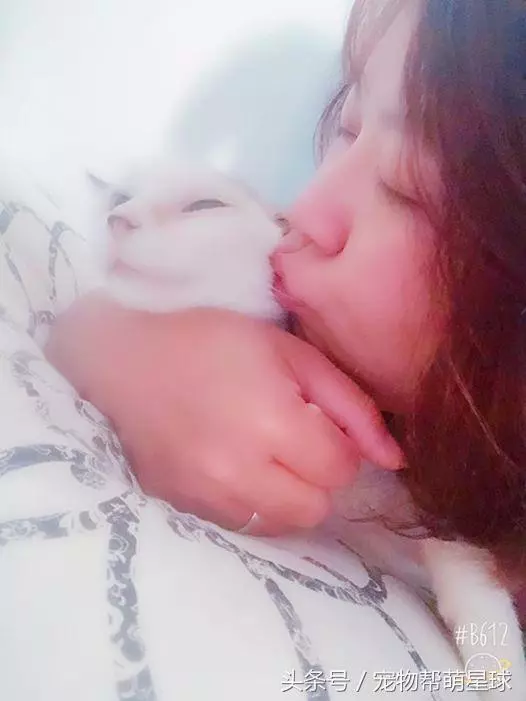 最後的告別,22歲老貓臨終前流淚:媽媽,我捨不得……