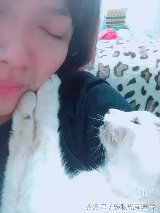 最後的告別,22歲老貓臨終前流淚:媽媽,我捨不得……