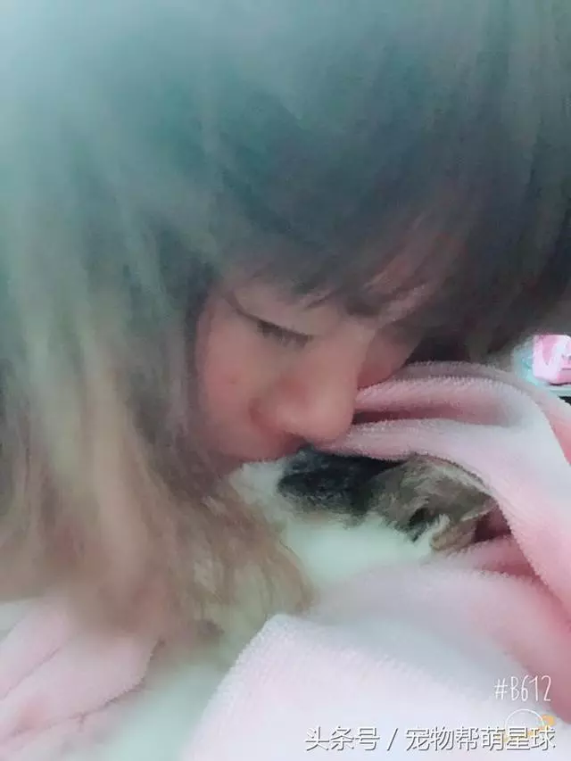 最後的告別,22歲老貓臨終前流淚:媽媽,我捨不得……