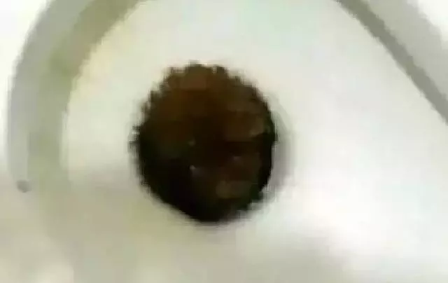 回家看到狗狗掉在馬桶里,而父親在看電視,不禁後悔是我錯了嗎?