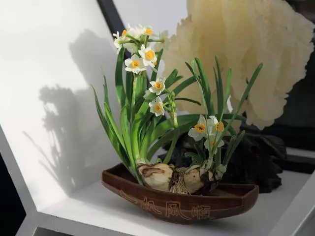 心理學:選一個你喜歡的植物,測你的嫉妒心有多重