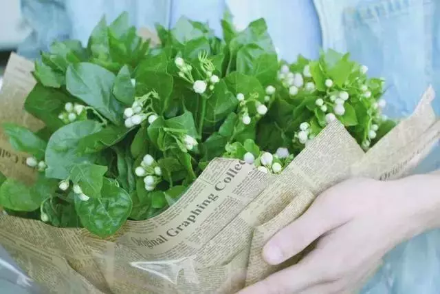 心理學:選一個你喜歡的植物,測你的嫉妒心有多重