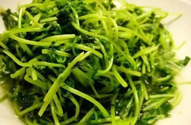 今日推薦 · 34道快手菜