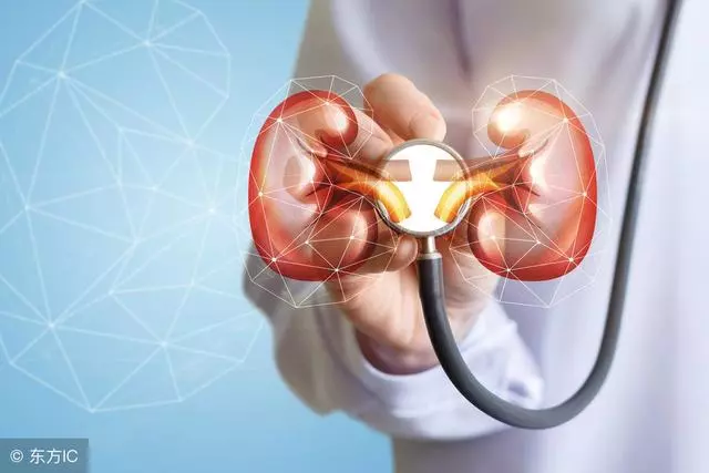 保護腎臟,做到「三要,三不要」,讓你腰不酸、腎不虛、病不找