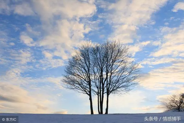 男人活著,就該像條狼一樣!(精闢)