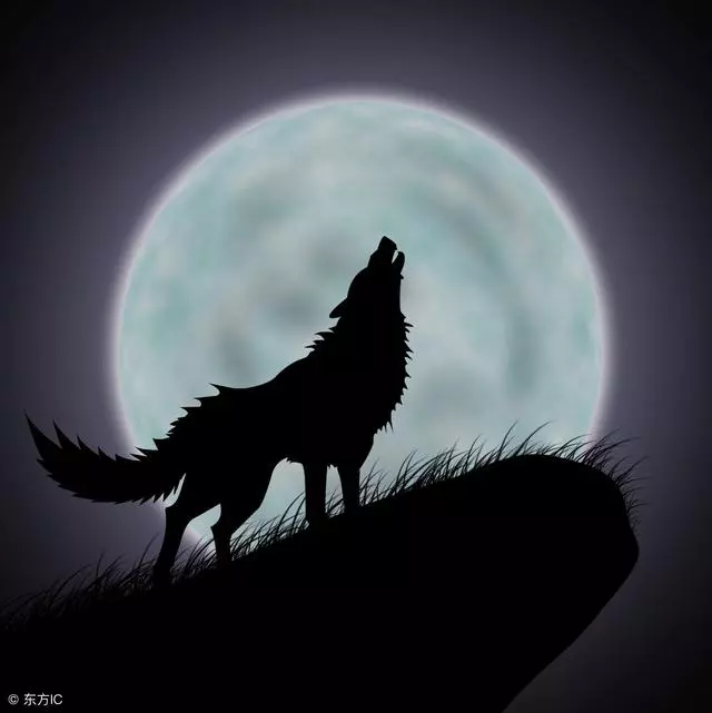 狼的信仰,你值得擁有