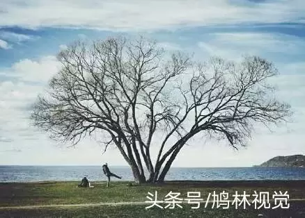 不努力,別人想拉你一把,都不知道你的手在哪裡