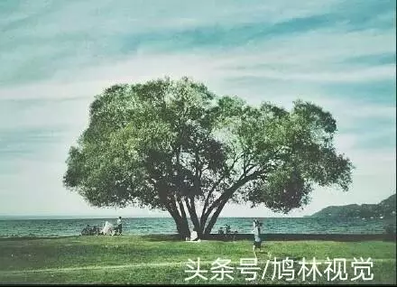 不努力,別人想拉你一把,都不知道你的手在哪裡