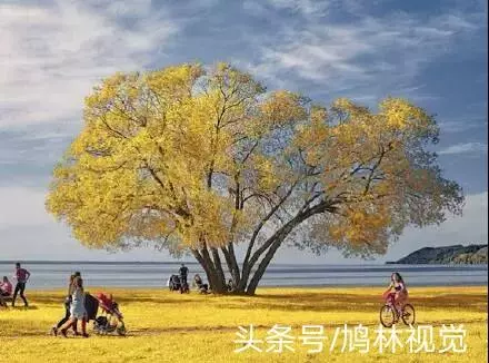不努力,別人想拉你一把,都不知道你的手在哪裡