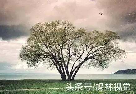 不努力,別人想拉你一把,都不知道你的手在哪裡