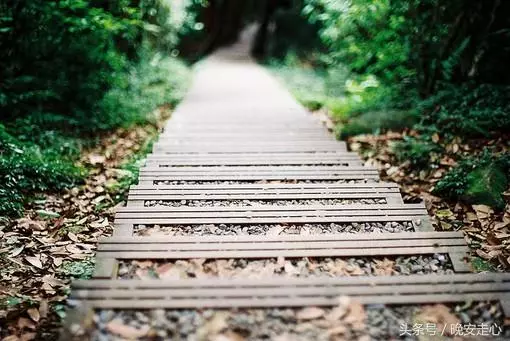 走好自己的路,讓別人說去