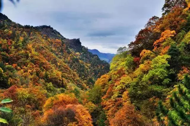 陝西秦嶺深處藏了一個可媲美香格里拉和九寨溝的秘境,適合自駕去