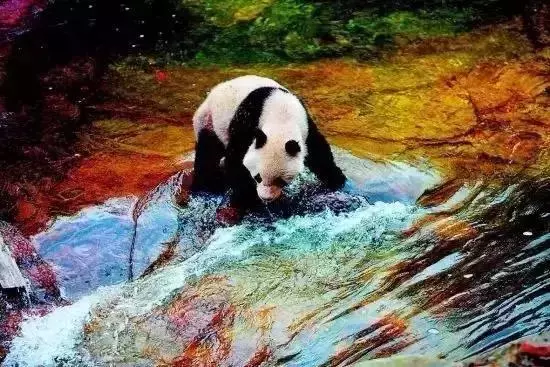 陝西秦嶺深處藏了一個可媲美香格里拉和九寨溝的秘境,適合自駕去