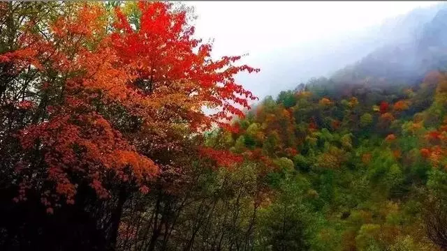 陝西秦嶺深處藏了一個可媲美香格里拉和九寨溝的秘境,適合自駕去