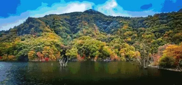 陝西秦嶺深處藏了一個可媲美香格里拉和九寨溝的秘境,適合自駕去