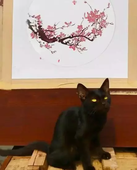 貓掌除了療愈還可以作畫!主人用腳印做出一幅「櫻花盛放圖」貓咪一臉厭世:到底好了沒