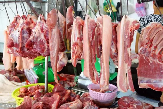 你能吃,狗狗也能吃的「6大常見食物」,你喂過幾種?