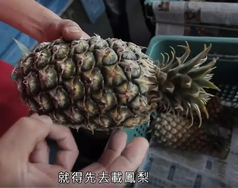 斗六20年好味道!老闆現削現熬「超純正水果茶」 喝過停不下來