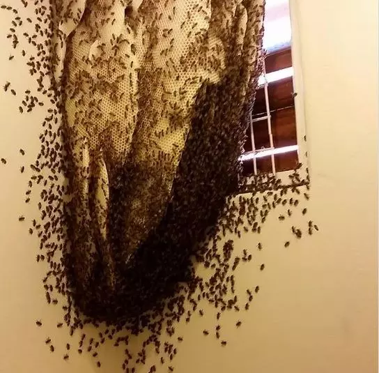 這25張精彩照片展現出大自然的力量是無窮無盡!大自然真的太可怕了!