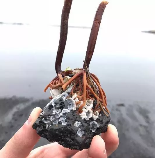 這25張精彩照片展現出大自然的力量是無窮無盡!大自然真的太可怕了!