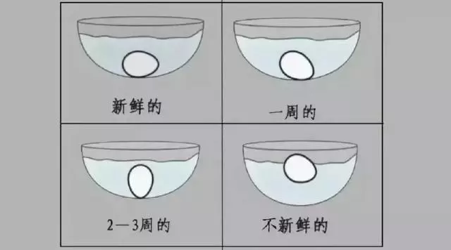 新發現!吃蛋再也不用扔蛋黃了!這樣吃,無須擔心高膽固醇