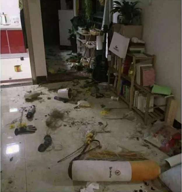 二哈拆家,主人給它綁上10斤鐵餅,二哈:燃燒我的卡路里!